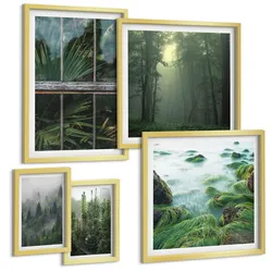 BILDER SET 5er Set - 50x50 cm & 20x30 cm & 40x60 cm Goldrahmen - Nahaufnahmen von Blättern sukkulenter Pflanzen