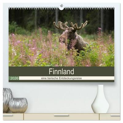 Finnland: eine tierische Entdeckungsreise (hochwertiger Premium Wandkalender 2026 DIN A2 quer), Kunstdruck in Hochglanz