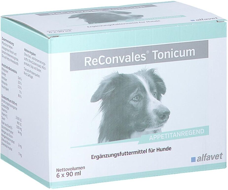 Reconvales Tonicum für Hunde