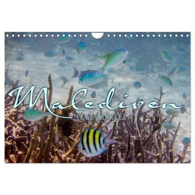 Unterwasserwelt der Malediven III (Wandkalender 2026 DIN A4 quer), CALVENDO Monatskalender