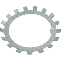 FAG, Kugellager, Sicherungsblech MB31 Innen-Ø 155 mm