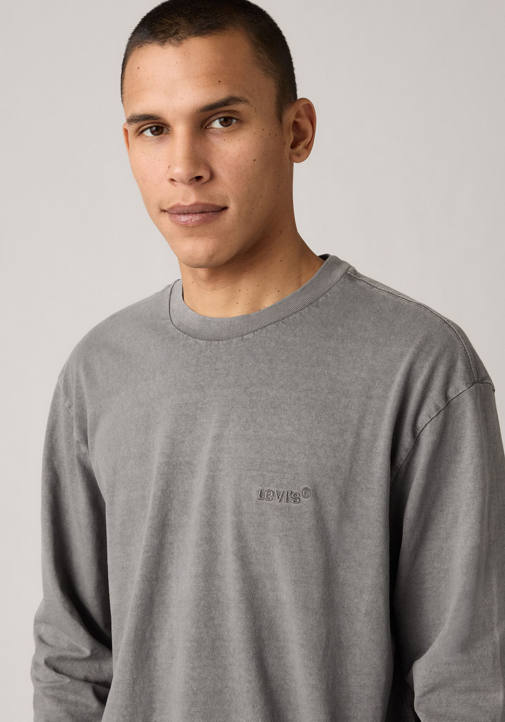 Langarmshirt LEVI'S, Herren, Gr. M, garment dye smoked p, Jersey, Obermaterial: 100% Baumwolle, normal normal, Rundhals, Shirts Langarmshirt, GARMENT- Färbung garment dye smoked p M