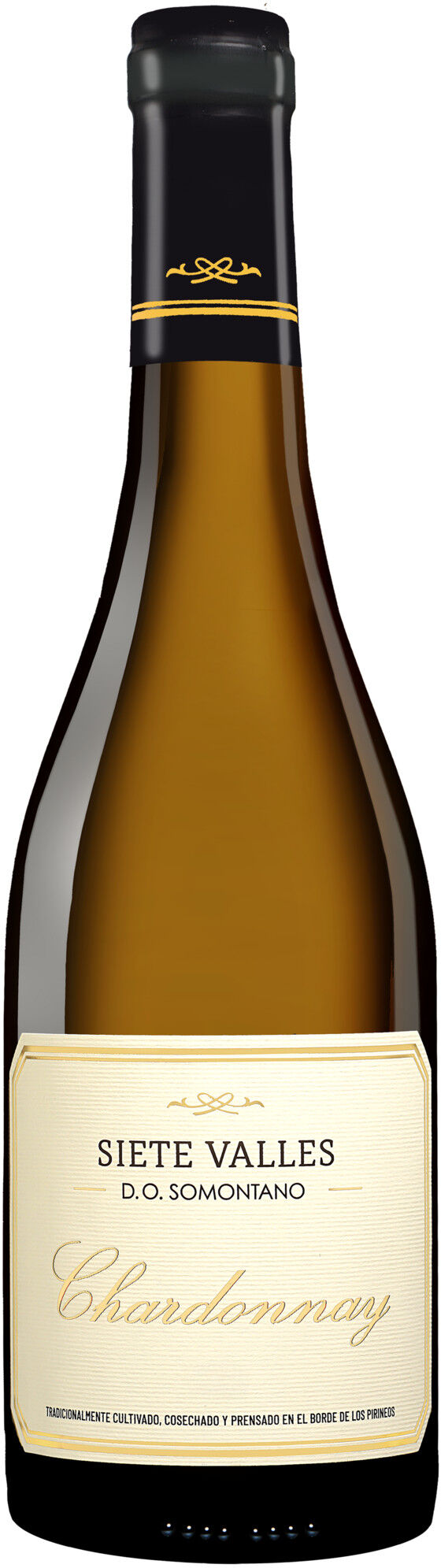 González Byass Siete Valles Chardonnay 2025 13.5% Vol. Weißwein Trocken aus Spanien