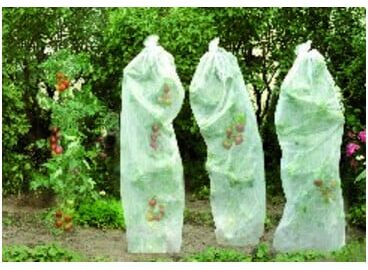 floraworld Voile de mûrissement pour tomates 0,8x5m 17g blanc (010878)
