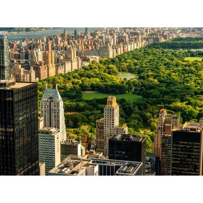 Fototapete PAPERMOON "Central Park Manhattan", bunt, B:2m L:1,49m, Vlies, Tapeten