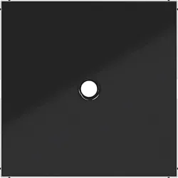 Hager WAF1048BG Zentralstück für Zugschalter/-taster, Ax/Cx, nachtschwarz glänzend