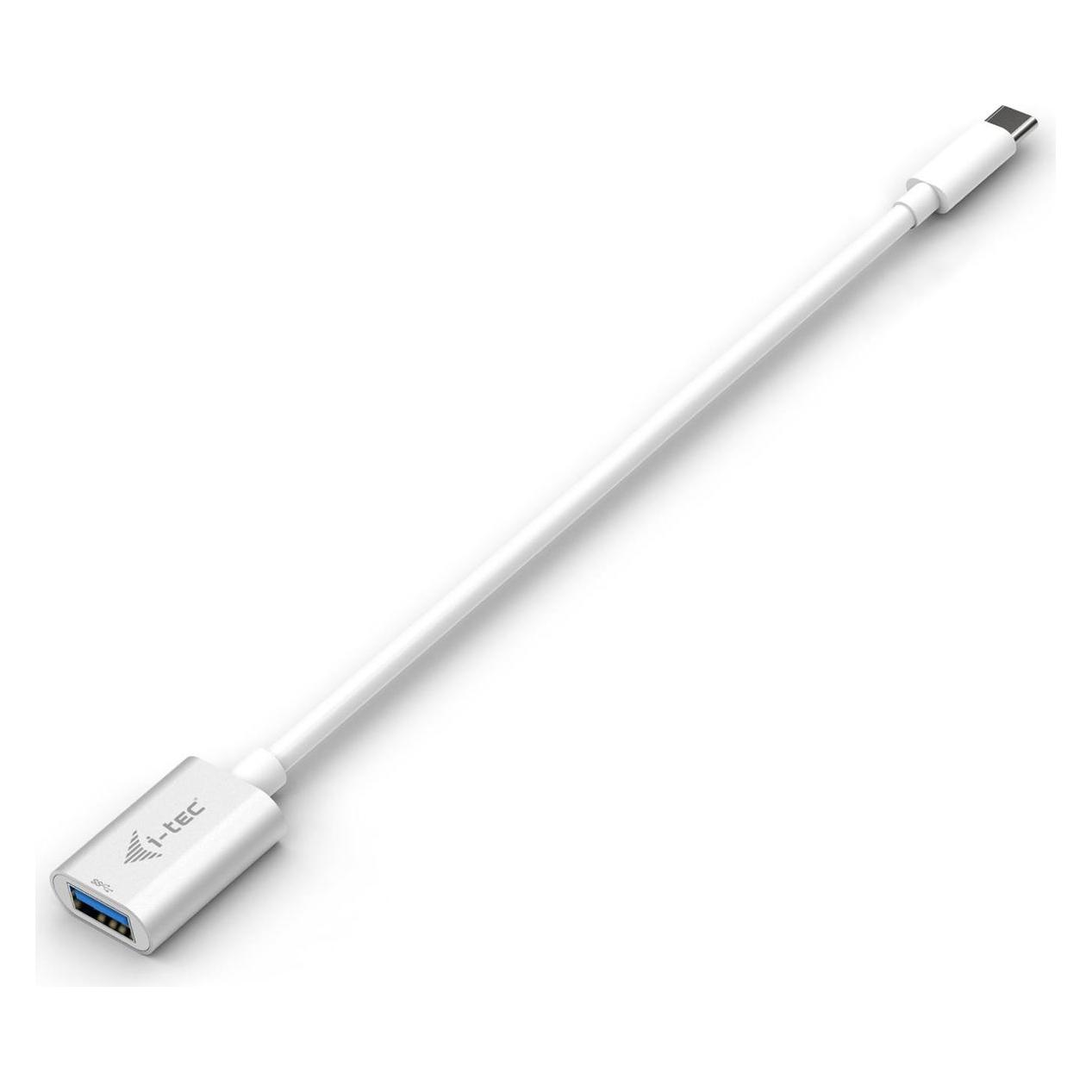 i-tec USB-C zu (0.20 m, USB 3.2 Gen 2) (C31ADA)