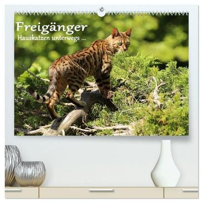 Freigänger - Hauskatzen unterwegs (hochwertiger Premium Wandkalender 2027 DIN A2 quer), Kunstdruck in Hochglanz
