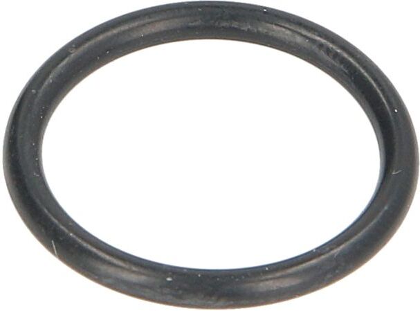 Zf O-ring, cambio 0634306198