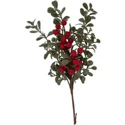 Beeren-Zweig mit Blättern, geeist