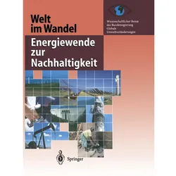 Welt im Wandel: Energiewende zur Nachhaltigkeit, Fachbücher von Wissenschaftlichen Beirat der Bundesregierung Globale, Kenneth A. Loparo