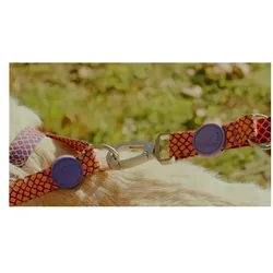 Morso Hondenriem Verstelbaar Gerecycled Urban Lizard Rood (Hund, Allgemein), Halsband + Leine