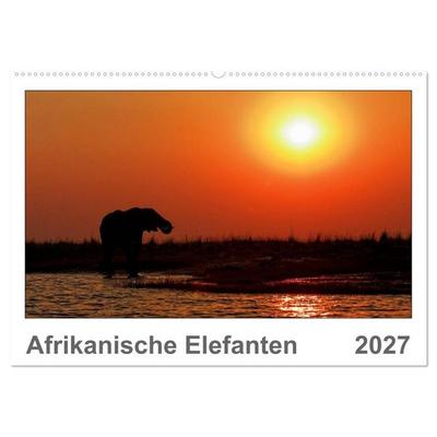 Afrikanische Elefanten (Wandkalender 2027 DIN A2 quer), CALVENDO Monatskalender