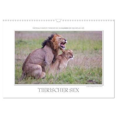 Emotionale Momente: Tierischer Sex. (Wandkalender 2026 DIN A3 quer), CALVENDO Monatskalender