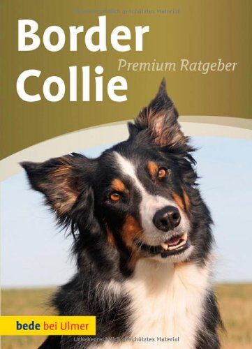 Annette Schmitt - Border Collie - Preis vom 10.10.2026 11:48:34 h