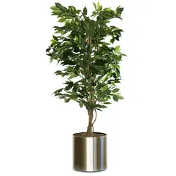 Kunstpflanze Ficus Benjamina Grün 210 cm Grün ohne Blumentopf