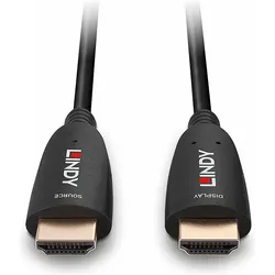 Lindy HDMI – HDMI (100 m), Videokabel, Schwarz