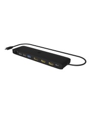 ICY BOX IB-DK2116-C Mobile DockingStation (61005)