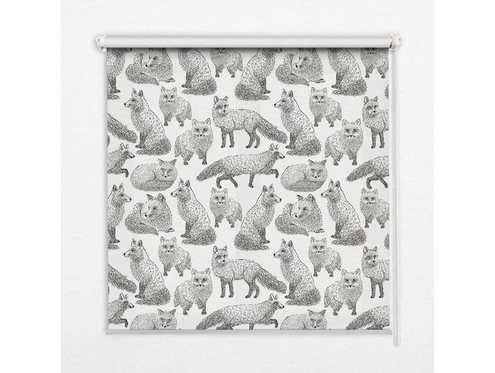 Tulup Innenrollo - Fensterrollo - Rollo - 100x100 cm - Graufüchse, Kunststoff, Quadratisch, 100x100x0.5 cm, Heimtextilien, Vorhänge, Rollos