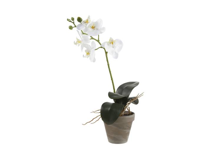 Mica Kunstpflanze Phalaenopsis Weiss im Topf 48 × 13 cm