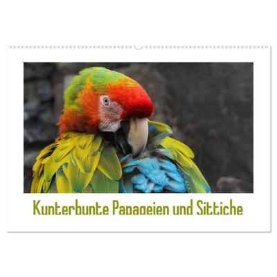 Kunterbunte Papageien und Sittiche (Wandkalender 2027 DIN A2 quer), CALVENDO Monatskalender