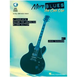 More Blues You Can Use, Fachbücher