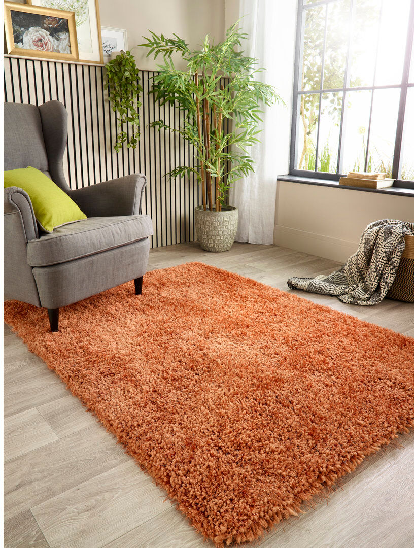 Brayden Studio Benonia Hand Tufted Area Rug Rust Rectangle 90 x 150cm