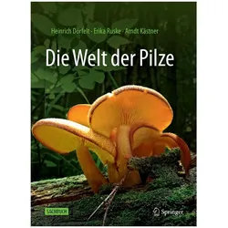 Die Welt der Pilze, Fachbücher von Arndt Kästner, Erika Ruske, Heinrich Dörfelt