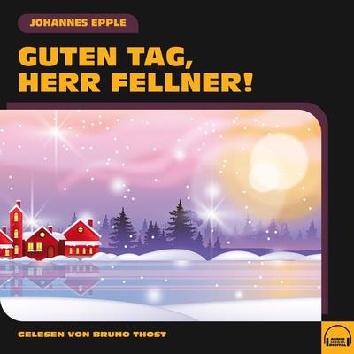 Guten Tag, Herr Fellner! - Johannes Epple, Audio, 9783991572473