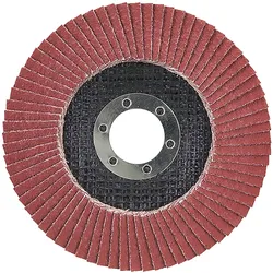 Makita Fächerschleifscheibe 125 mm - D-28519