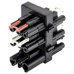 Wieland Electric 92.030.0053.1 Verteiler