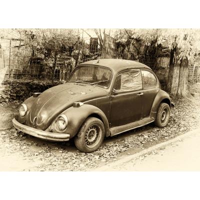 Fototapete PAPERMOON "Käfer Retro Auto", bunt, B:2m L:1,49m, Vlies, Tapeten