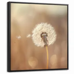 LEINWAND Bilder mit Rahmen - Löwenzahn - Beige - Natur - Blume - 50x50