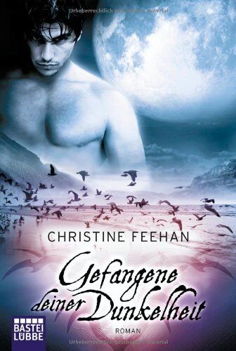 Christine Feehan - Gefangene deiner Dunkelheit: Roman - Preis vom 11.10.2026 15:43:13 h