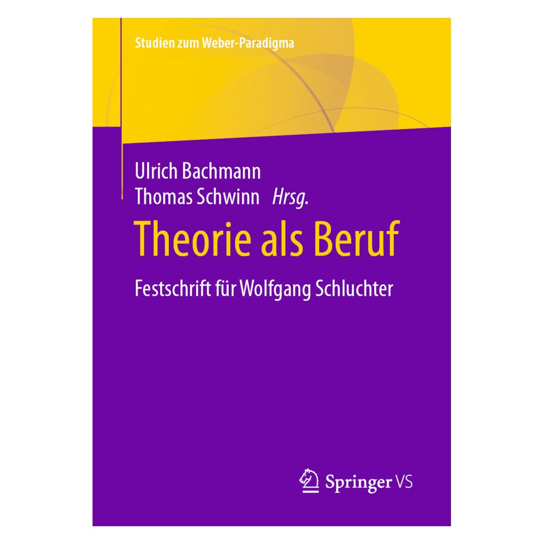 Springer Theorie als Beruf (Deutsch, Softcover, Thomas Schwinn, Ulrich Bachmann) (39005276)