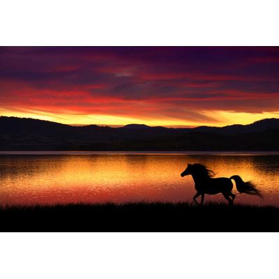 Fototapete PAPERMOON "Pferd in landschaft", bunt, B:3,5m L:2,6m, Vlies, Tapeten