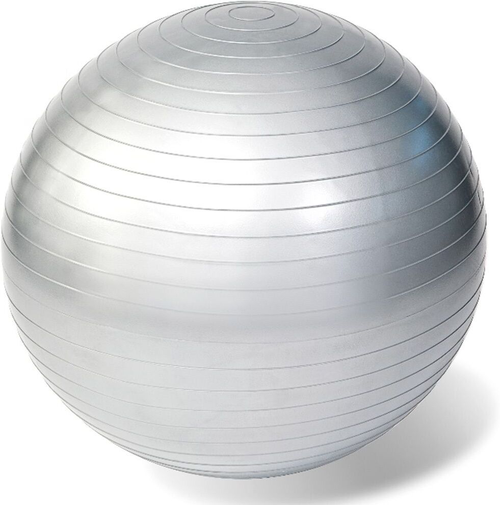Gymnastikball Rehaforum 65 cm silber metallic 1 St Ball new
