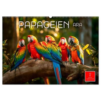 Papageien - Ara (Wandkalender 2027 DIN A2 quer), CALVENDO Monatskalender