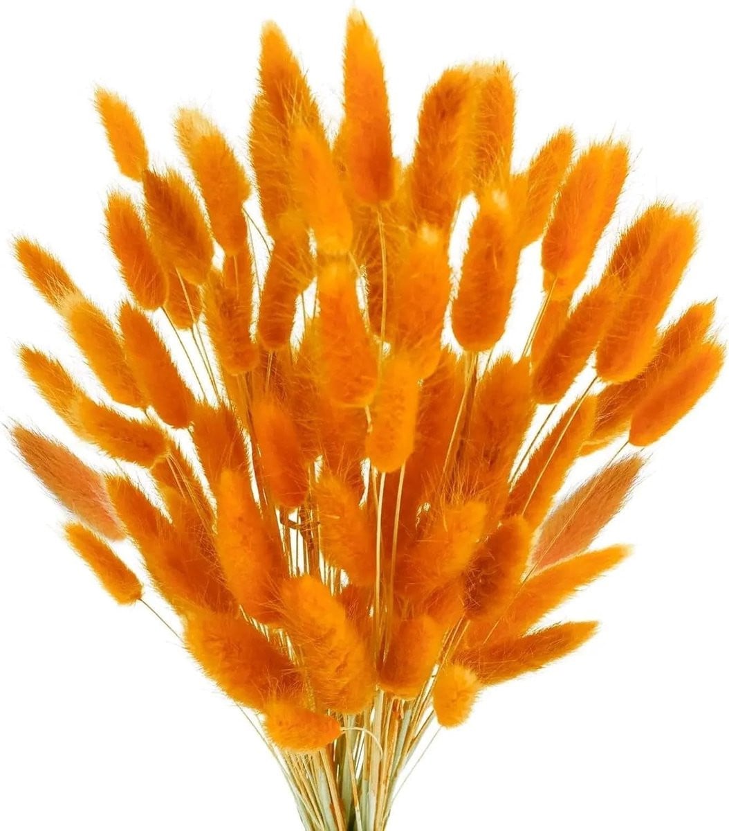 120 Stuk Gedroogde Bloemen voor Decoratie in Bohemian Stijl