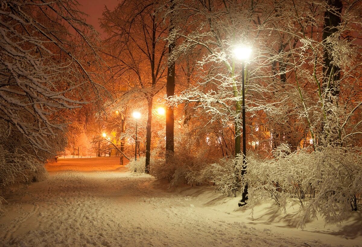 Fototapete PAPERMOON "Park im Winter", bunt, B:3m L:2,23m, Vlies, Tapeten, Fototapete bunt B/L: 3m x 2,23m, Bahnen: 6 Stk.