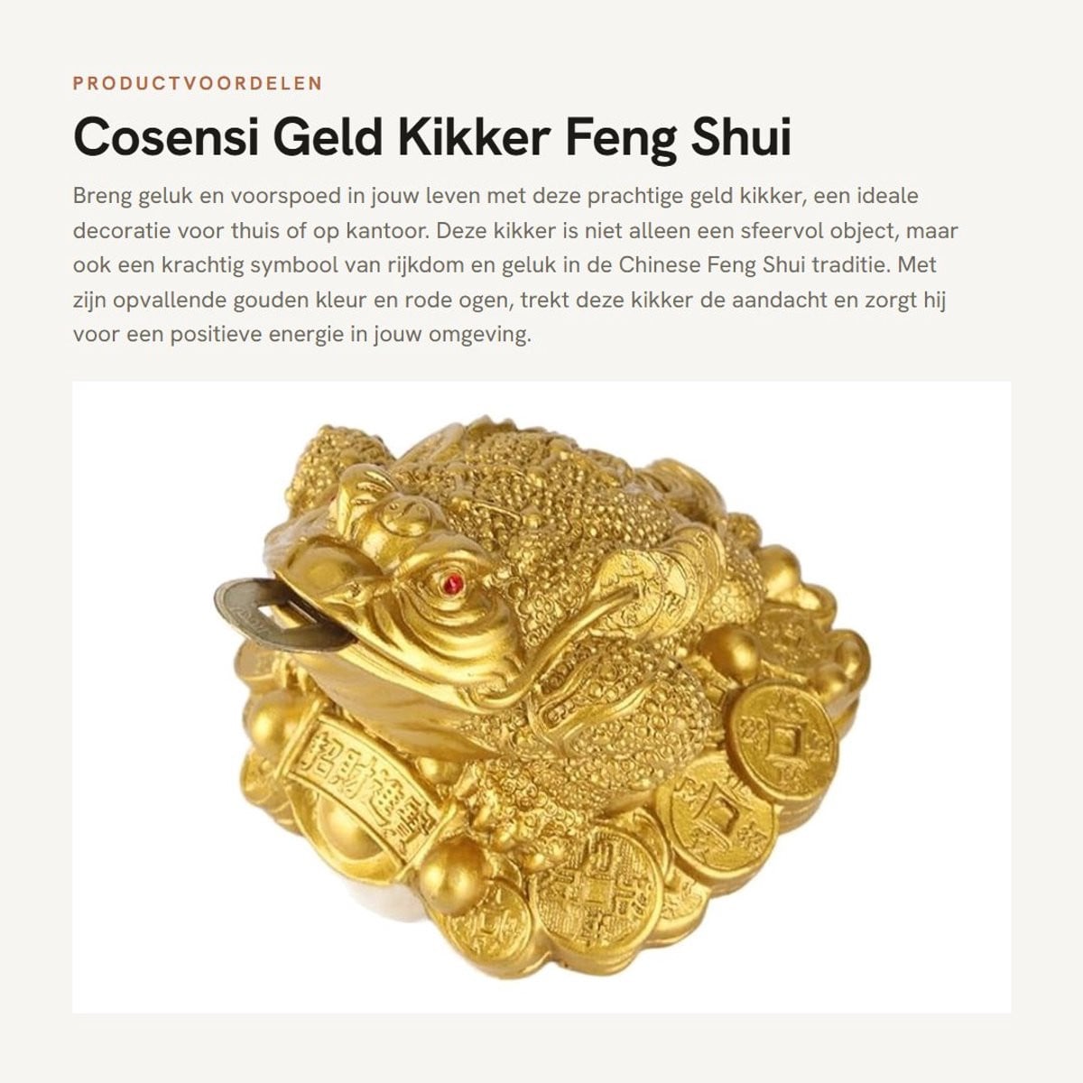 DailyGoods Geluksmunt met kikker voor Feng Shui