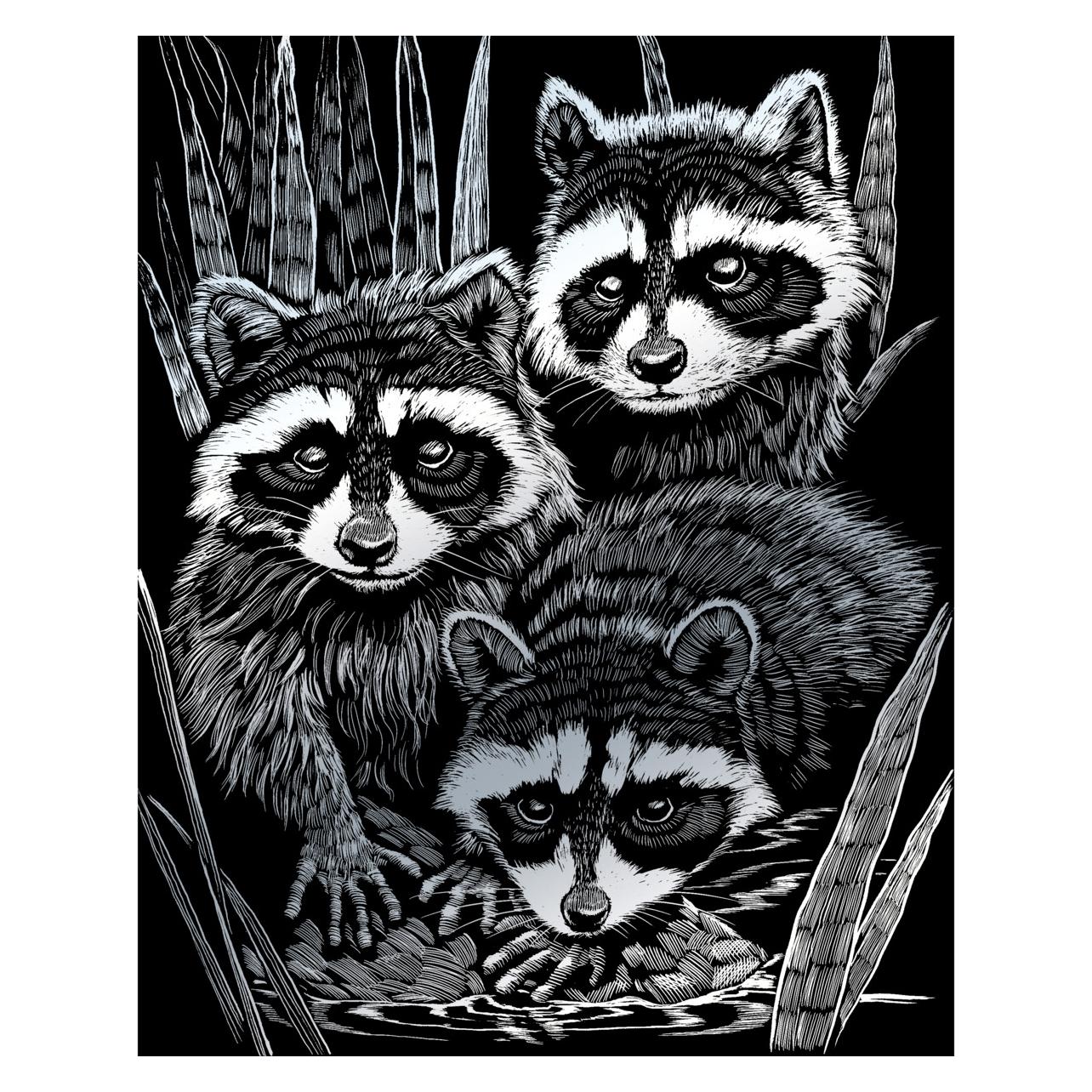Magni Royal & Langnickel - Kratzbild Waschbären, Silber, Kratzbilder für Kinder und Erwachsene, mit Kratzs (4674-20131)