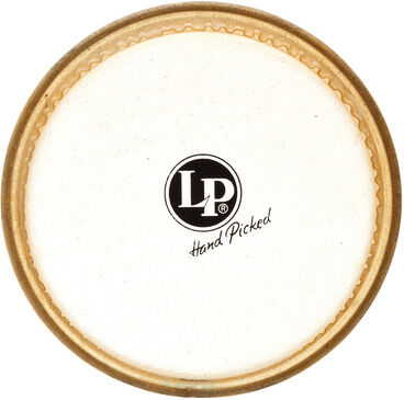 LP "493A 6 1/2" Bata Head"