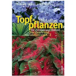 Bildatlas Topfpflanzen für Zimmer und Balkon, Ratgeber von Moritz Bürki