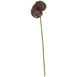 Kunstblume Anthurium   ¦ rot ¦ Kunststoff ¦ Maße (cm): H: 67  Ø: 14.0