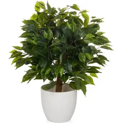 Hjh Office, Kunstpflanzen, Ficus Ii (65 cm)