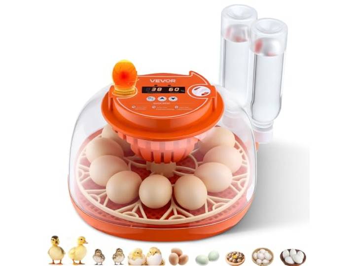 VEVOR Couveuse Œuf Automatique 12 Œufs de Poule Incubateur Œuf pour Éclosion Œufs de Volaille Poussins Canetons Oies Cailles\, avec Mire LED Contrôle Température et Humidité Fenêtre Transparente 360°
