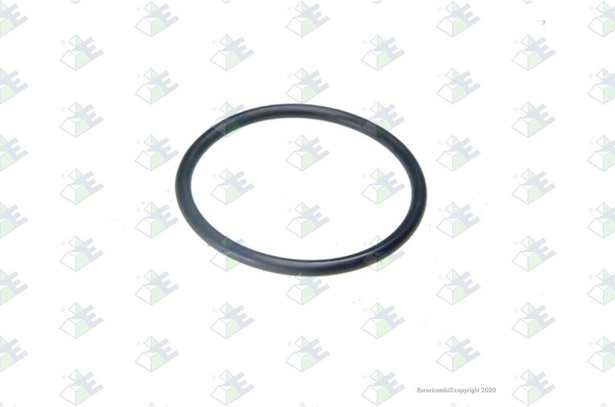 Euroricambi 60531373 Seal Ring