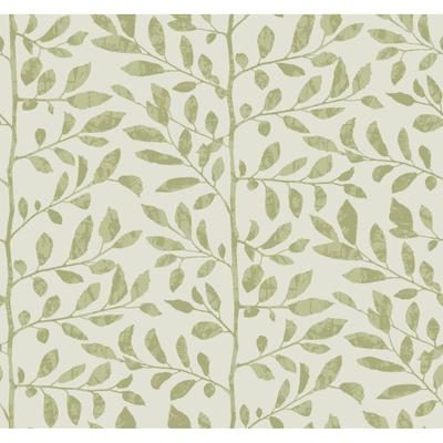A-Street Prints Sagecrest Sage Sapling Wallpaper