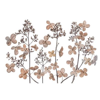 Fototapete PAPERMOON "Photo-Art MANDY DISHER, HORTENSIE-PANIKULATA", bunt, B:4m L:2,6m, Vlies, Tapeten